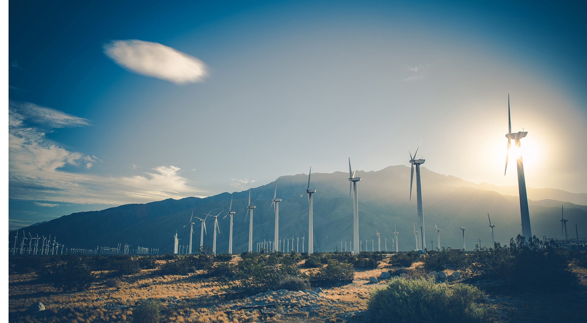 Clean Energy Council | Renewable Energy Australia